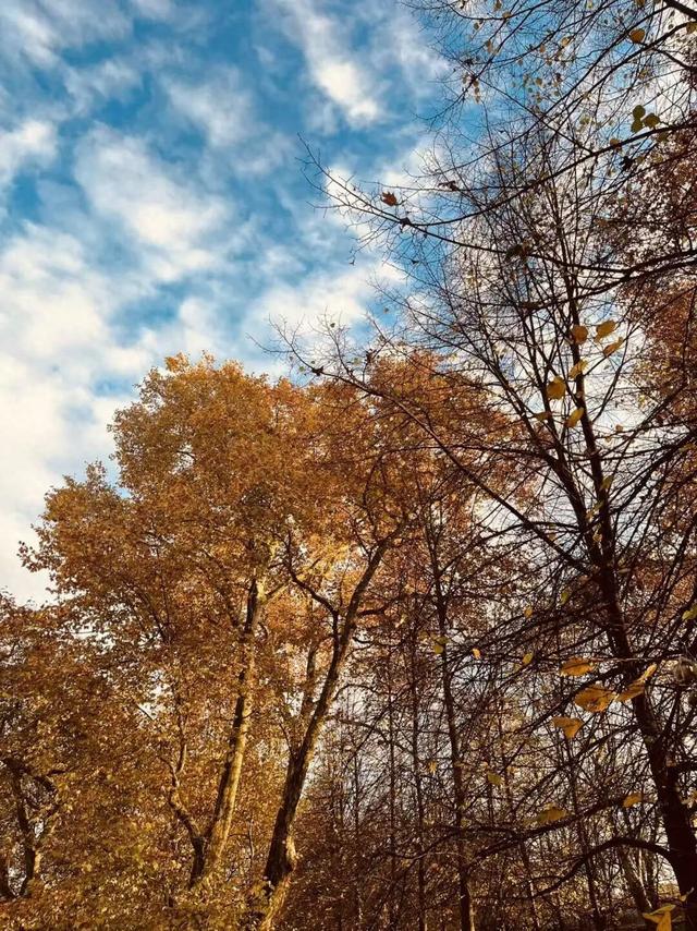 人最自在的时刻？“我不要了”