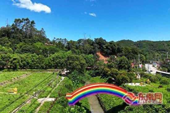 茶香引客来 诏安建设乡茶旅融合绘就新图景
