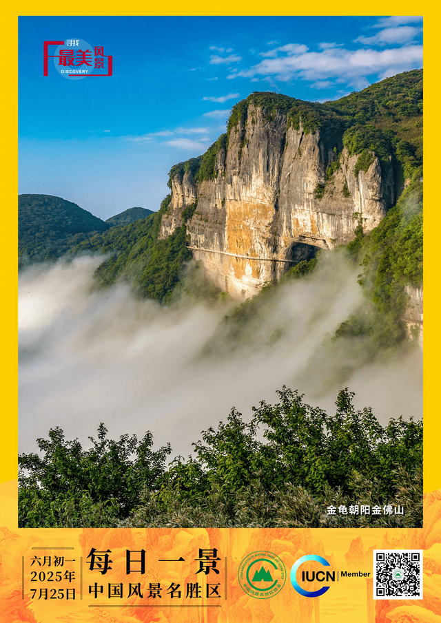 每日一景 | 金龟朝阳金佛山