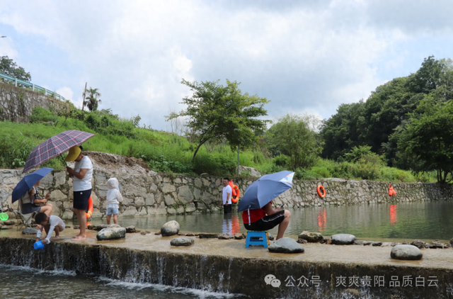 清凉秘境 白云区牛场乡祁山村打造首个市民亲水点 玩水烧烤 还有“稻田咖啡”