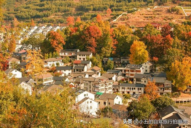 指南村秋季赏秋实测攻略！临川古道 + 梯田 + 三色秋景，不跑空指南
