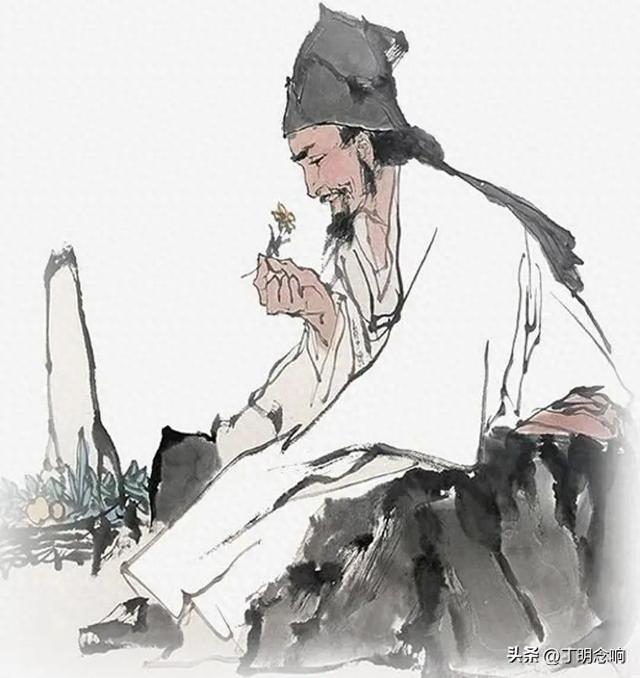 中医养生本草纲目图片（图解本草纲目适合普通人阅读的博物志）