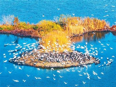 静美冬日  神州如画