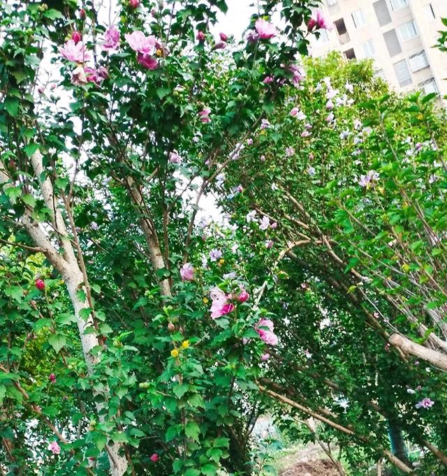 两性关系: 一旦过了68岁，哪怕身体再好，也要注意这5个“活细节”