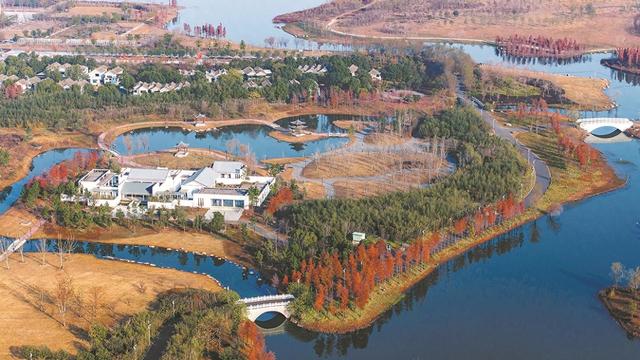 生态公园 冬景如画