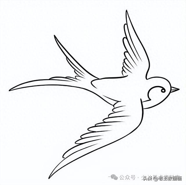 燕子简笔画（燕子的简笔画线稿图）