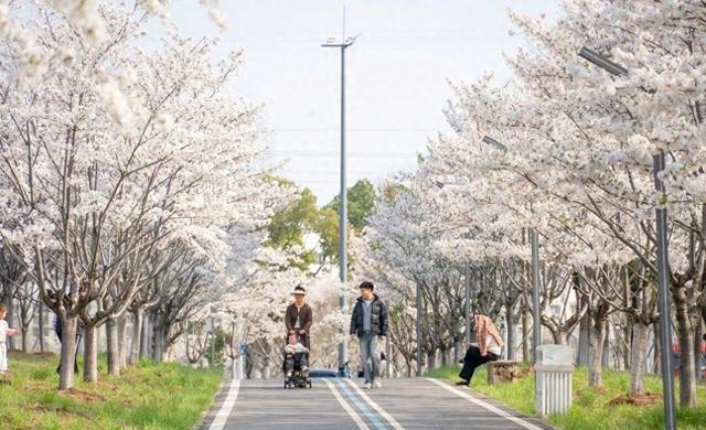 梁静茹歌迷们看过来，武汉演唱会4月11日将在东西湖唱响，这里有一份文旅攻略请查收