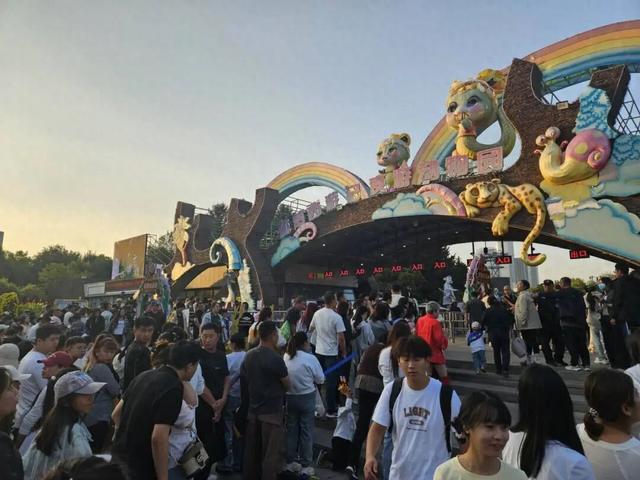 万人涌入长春动植物园看“雪饼猴”：家长肩头长满孩子，还有人爬树也要看