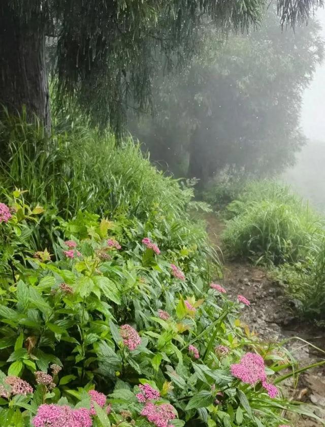 浔城故事 | 雨中登顶汉阳峰