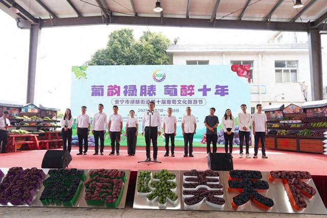 云南安宁市禄脿第十届葡萄文化旅游节开幕