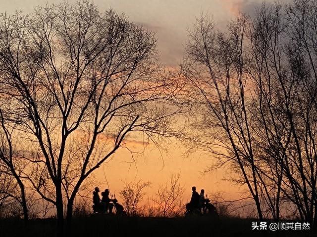 濮秀艳