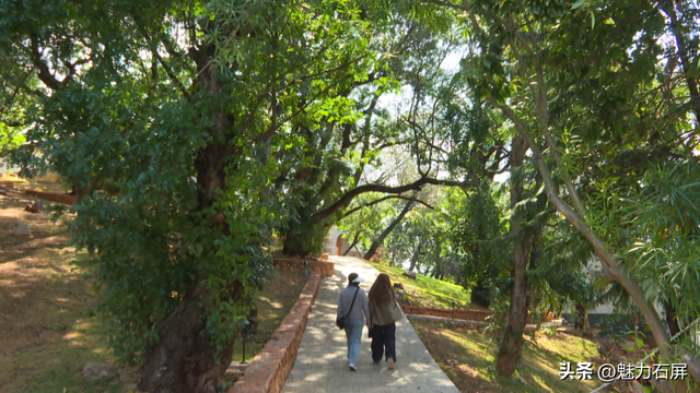石屏仁寿村：闲置校舍变民宿 乡村文旅添新景