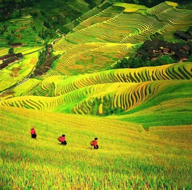 广东省是广西文旅的最大客源地