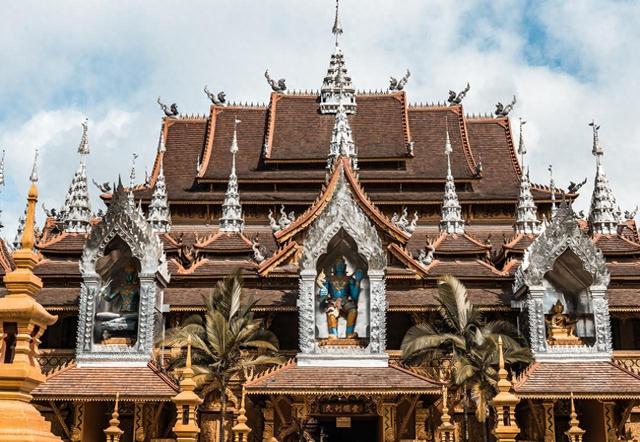 强烈建议！12 月一定要去一次西双版纳！不愧是中国必看暖冬之一！