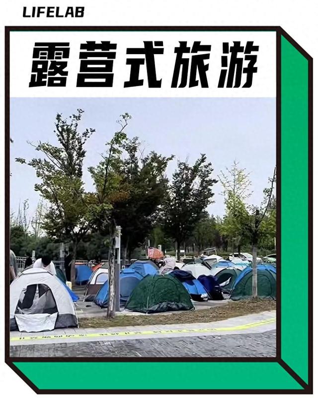 帐篷大酒店，收留了多少不想被割的年轻人