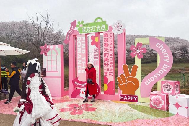 花漾高峰 樱你梅丽|邂逅樱花“官方打卡点”,贵安赏樱之旅收获惊喜