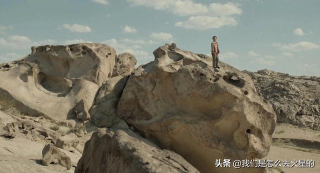 和方大侠一起种梭梭树吧