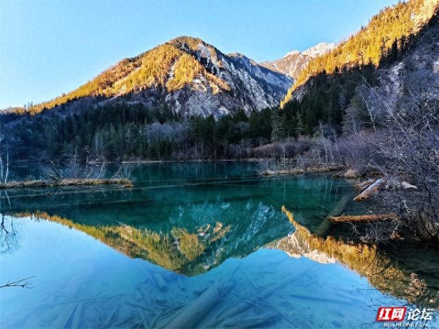 九寨沟的冬日浪漫：雪吻海子，阳光作画，太治愈了