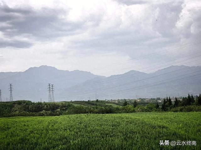 蓝田这村子人才济济，当朝正三品官员都不算啥，有传承就是不一样