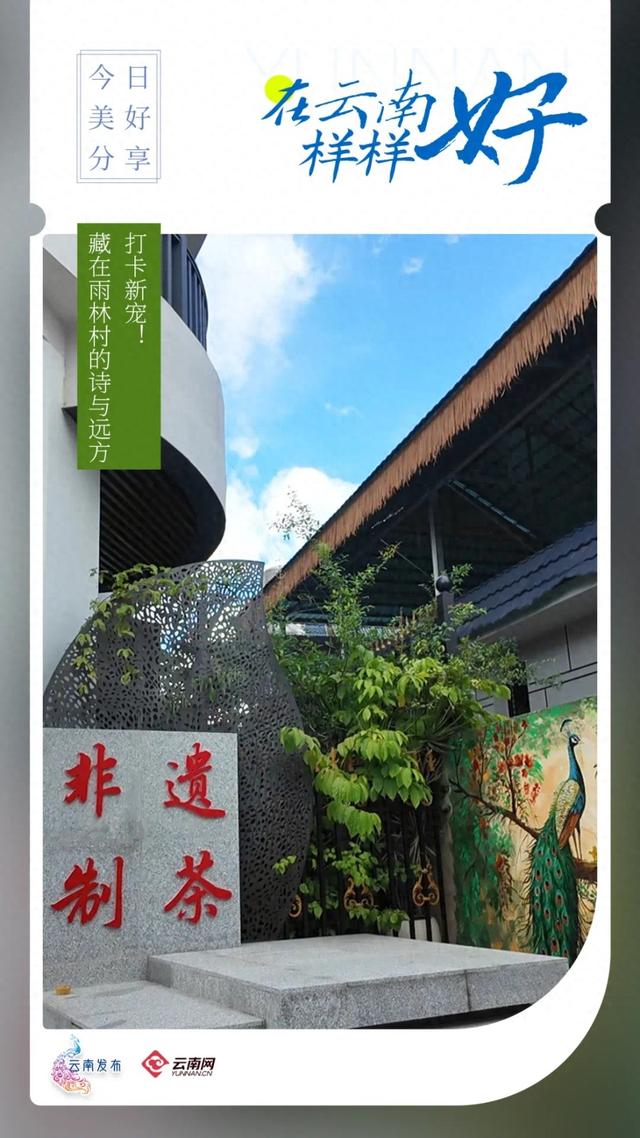 在云南样样好丨打卡新宠！藏在雨林村的诗与远方