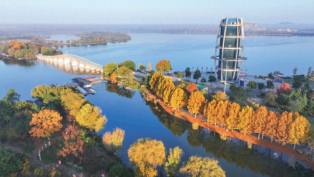 湖光“杉”色惹人醉