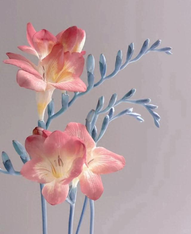 所有花的花语大全列表（这些花的花语你都知道吗）
