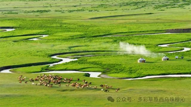 中国自驾游 | "数"说多彩西乌珠穆沁：八大驿站，绘就北疆草原盛景