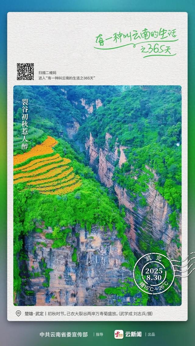 青峰披金甲，是在等谁来？丨有一种叫云南的生活之365天