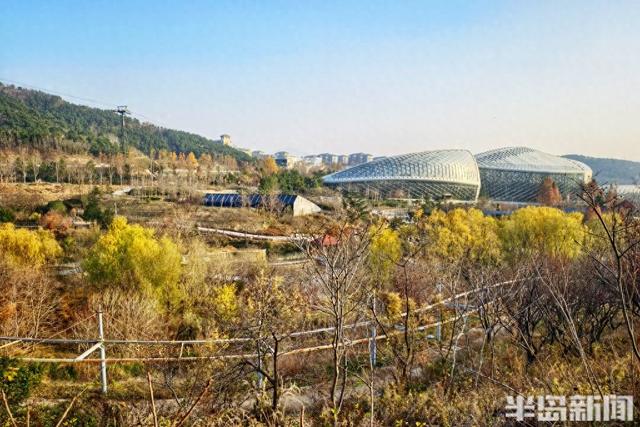 世博园冬色斑斓，暖阳周末醉游人