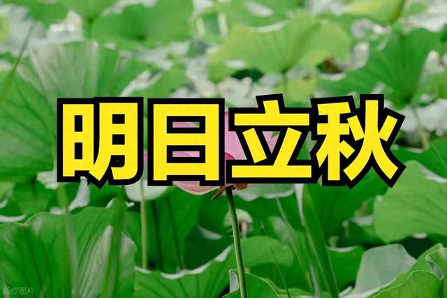 “冷不冷，就看立秋”，明日立秋，今年冬天冷到哭吗？看农谚咋说