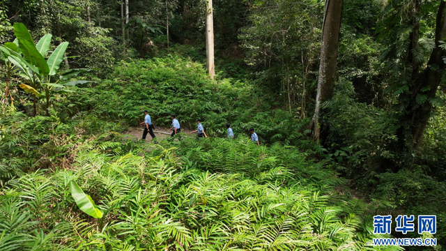 基诺山民警“硬核”守护雨林徒步平安行