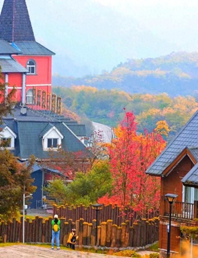 成都西岭雪山2025年11月彩林观赏期能持续到什么时候吗？