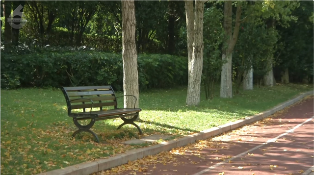 “捡秋”+ 拍大片！洛龙公园“秋日限定”正当时