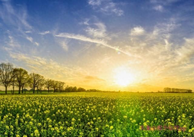 #现代人的生活方式#