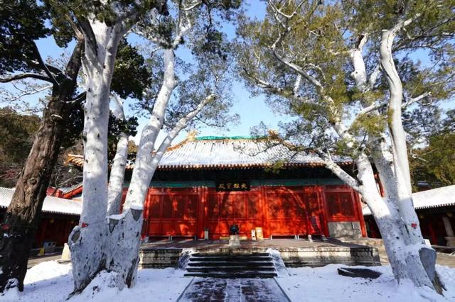 雪落禅庭：法海寺的冬日留白