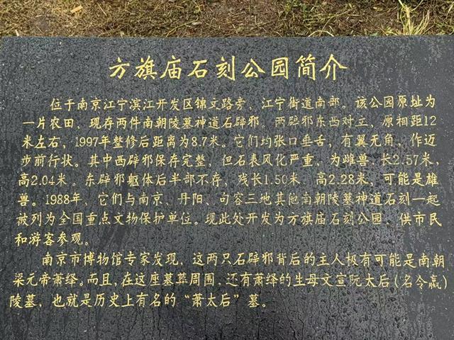 王气销沉处：南京江宁方旗庙南朝石刻前，被雨打湿的帝王魂