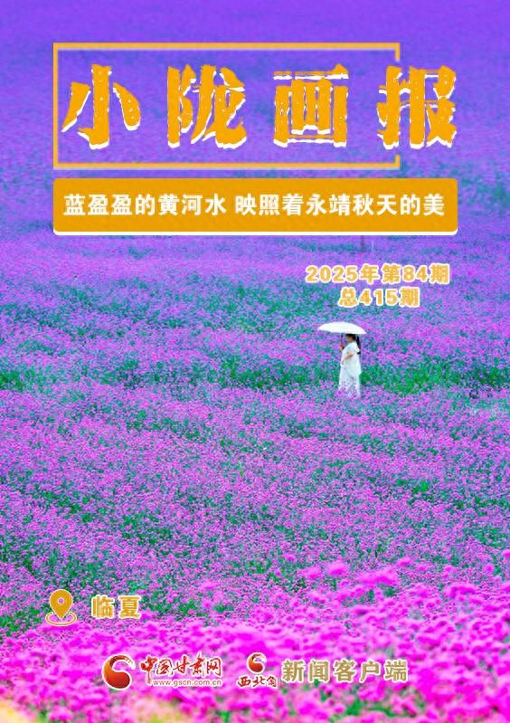 【小陇画报·415期】蓝盈盈的黄河水 映照着永靖秋天的美