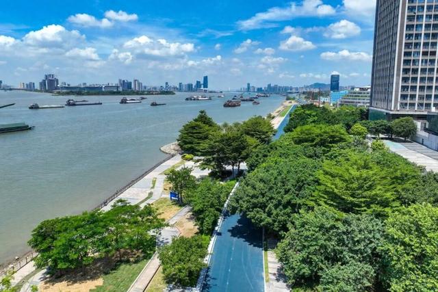 南沙“情侣路”新进展：滨海大道堤顶路骑行道贯通！