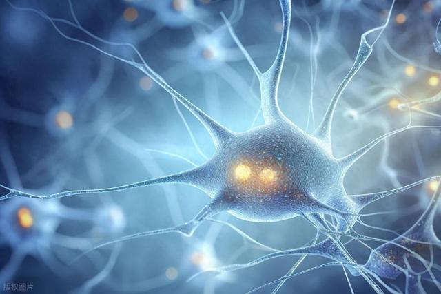 科学家用磁性纳米粒子重建脑细胞连接：帕金森治疗迎来突破性进展