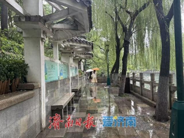 “不是江南胜似江南”，济南护城河畔雨中尽显诗意