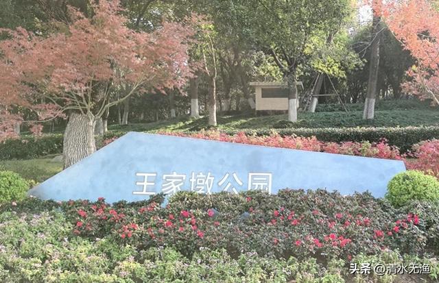 五一拒绝人挤人，王家墩公园给你一个完美的春天