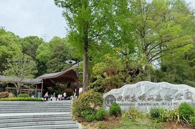 我是杭州人,从山东东明县回来,有3个疑惑萦绕心头。