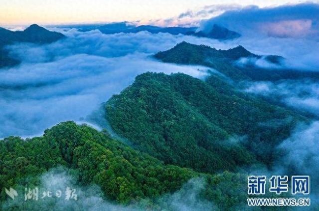 茅箭：云海翻涌似仙境