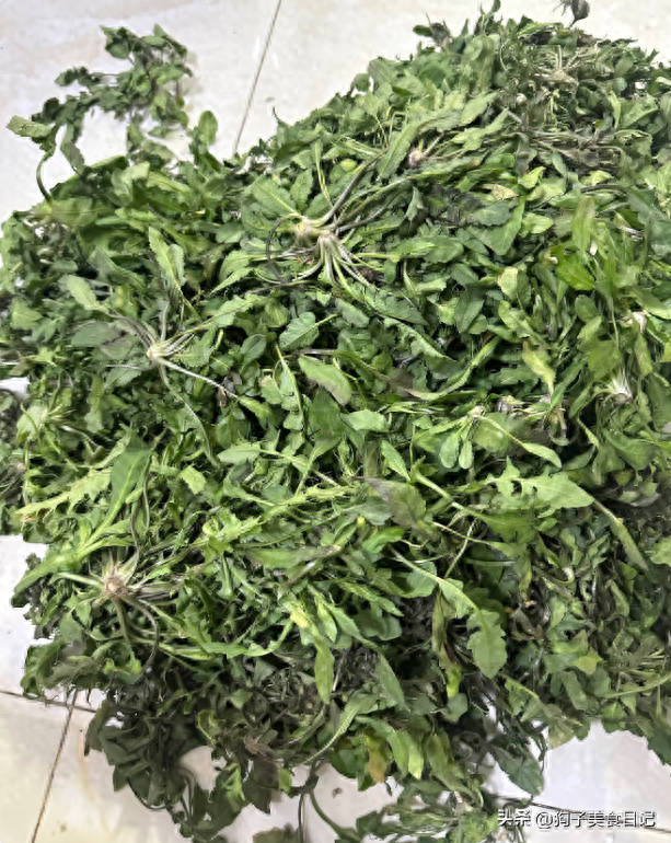 冬至吃饺子，韭菜，白菜靠边站，此菜最鲜美，对眼睛好，不吃可惜