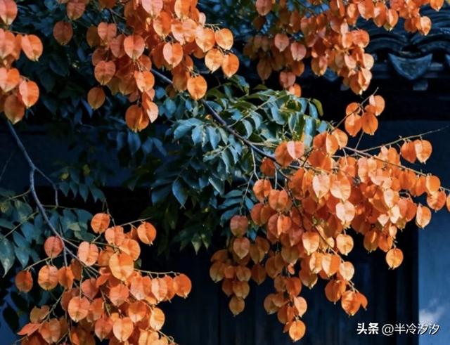 退休后，关系再铁，也不要和这5种人结伴旅游，都是过来人的忠告