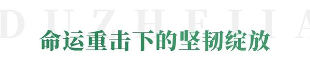 河南母女深夜摆摊卖炒面，一陌生男子转账60000元，没想到提出要求：“5年后，我再来！”