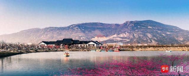 梅香绕梅园 竹马贺新春，灌云梅园“青梅竹马”赏花季启幕