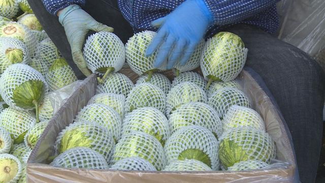 悠然家乡，蓝天白云，青山绿水，自然之美无处不在。请到大美盘山来（第632篇）