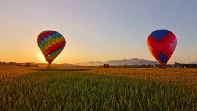 江南文化如何赋能共同富裕？长三角专家聚德清破题