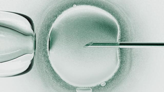 全球首批三亲婴儿健康报告：8名婴儿诞生，3例出现线粒体基因异常